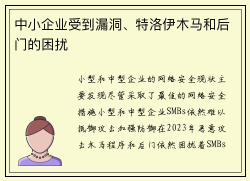 中小企业受到漏洞、特洛伊木马和后门的困扰 